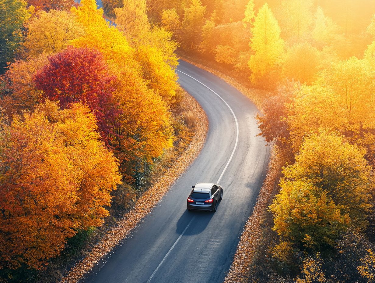 Driving Techniques for Different Weather Conditions